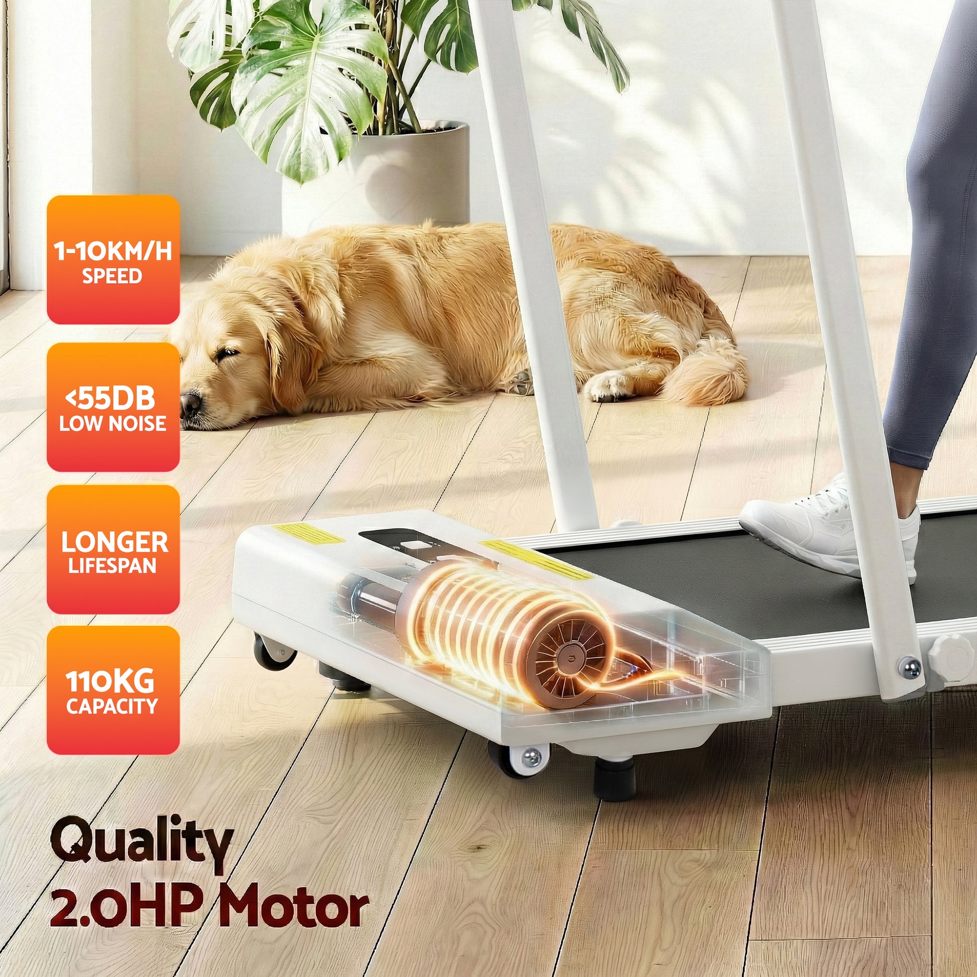 Everfit Electric Walking Pad 380mm White