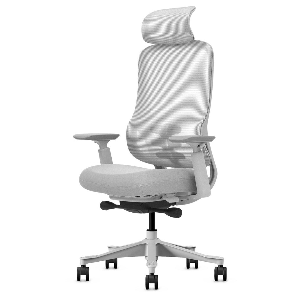 Lifespan Fitness DM8 Ergonomic Office Desk Chair (White/Grey)