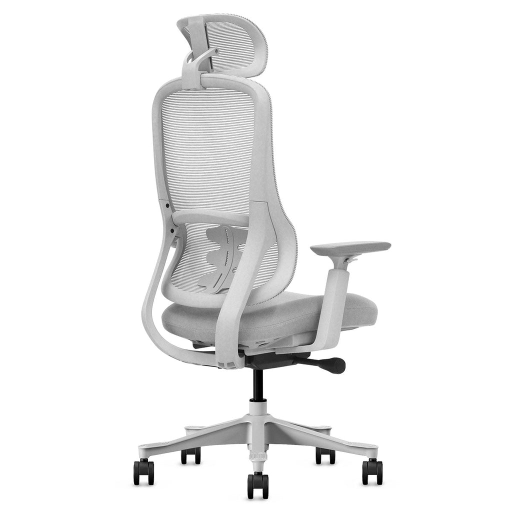 Lifespan Fitness DM8 Ergonomic Office Desk Chair (White/Grey)