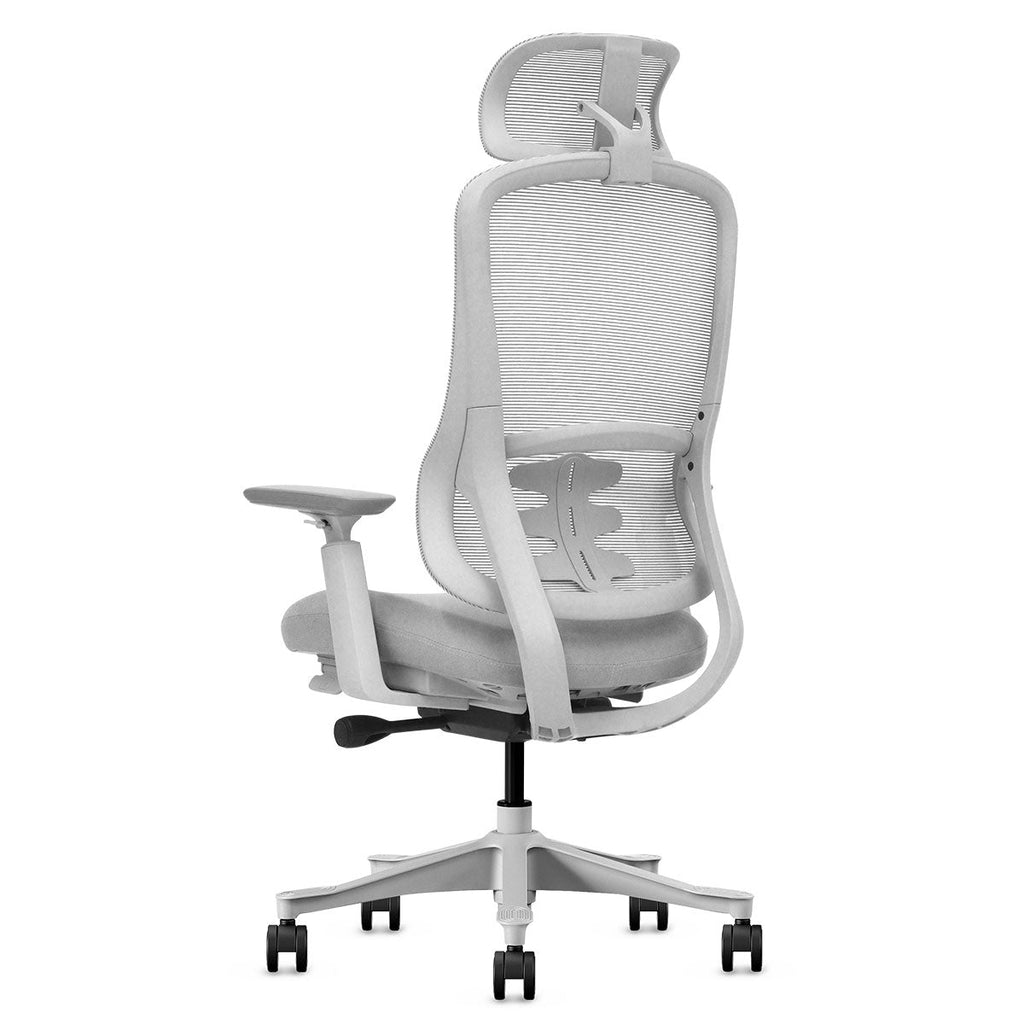 Lifespan Fitness DM8 Ergonomic Office Desk Chair (White/Grey)