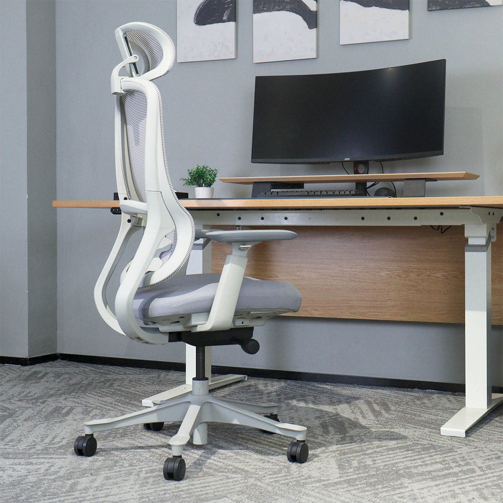 Lifespan Fitness DM8 Ergonomic Office Desk Chair (White/Grey)