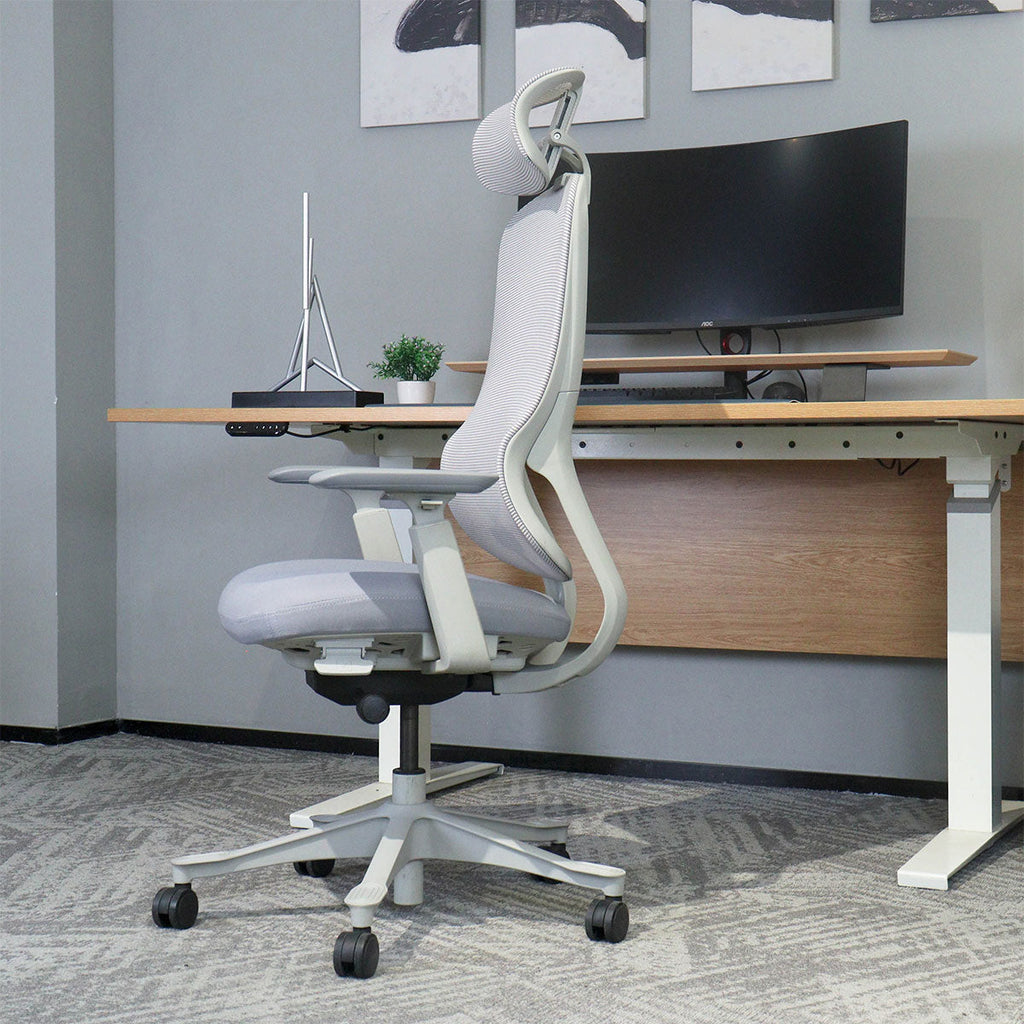 Lifespan Fitness DM8 Ergonomic Office Desk Chair (White/Grey)